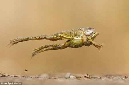 BEAT365：韩磊《只留清气满乾坤》震撼首发 唱响巍巍大中华(图3)