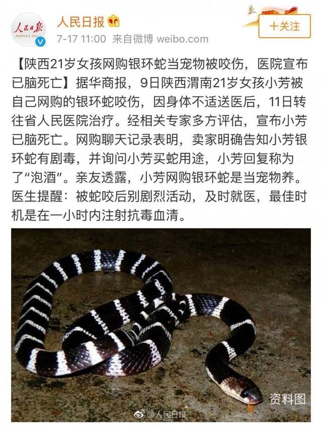 “beat365”全民偶像李宇春最新实体唱片预售8小时创行业纪录(图2)