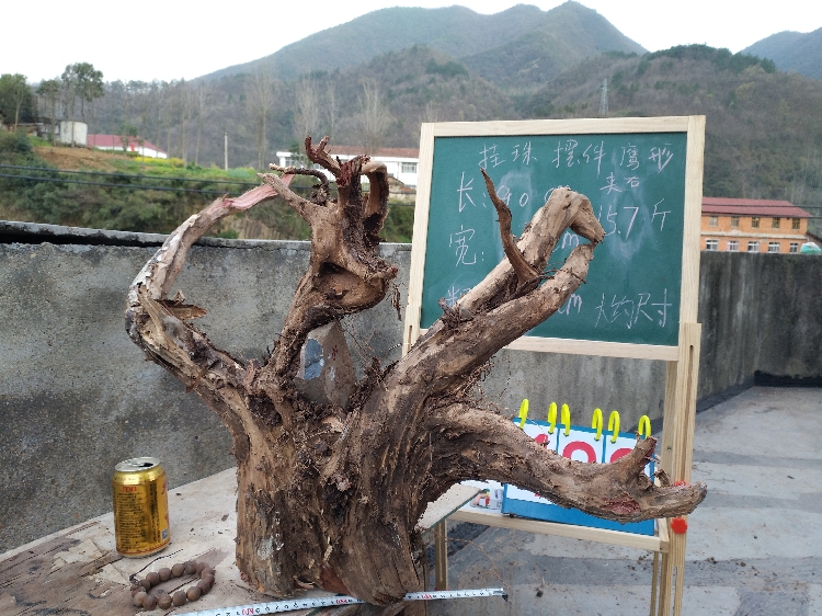 EC一平《物之语》双版齐下 打造奇妙童话世界【beat365】(图1)