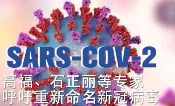 beat365官网中文|李荣浩《耳朵》：借大神的耳朵，听一场烟火气的凡人歌(图1)