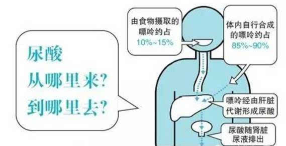 beat365-华晨宇邓紫棋恋情曝光后将首次同台，如何穿着再引热议(图1)